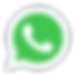 icons8-whatsapp-96.png